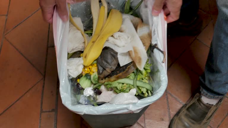 Trusted Mount Rainier, MD Junk Removal Services Experts